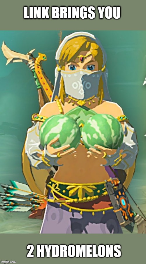 MATCHES THE OUTFIT | LINK BRINGS YOU; 2 HYDROMELONS | image tagged in the legend of zelda breath of the wild,legend of zelda,link | made w/ Imgflip meme maker