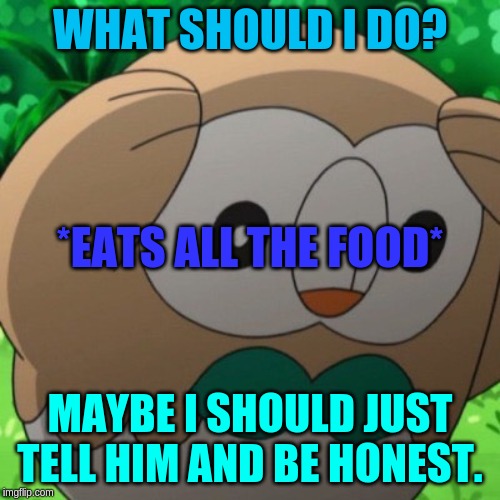 Life | WHAT SHOULD I DO? *EATS ALL THE FOOD*; MAYBE I SHOULD JUST TELL HIM AND BE HONEST. | image tagged in rowlet meme template,memes | made w/ Imgflip meme maker