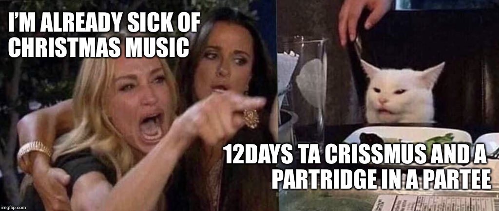 woman yelling at cat | I’M ALREADY SICK OF
CHRISTMAS MUSIC; 12DAYS TA CRISSMUS AND A 
PARTRIDGE IN A PARTEE | image tagged in woman yelling at cat | made w/ Imgflip meme maker