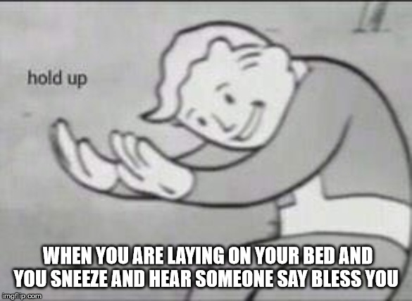 Fallout Hold Up | WHEN YOU ARE LAYING ON YOUR BED AND YOU SNEEZE AND HEAR SOMEONE SAY BLESS YOU | image tagged in fallout hold up | made w/ Imgflip meme maker