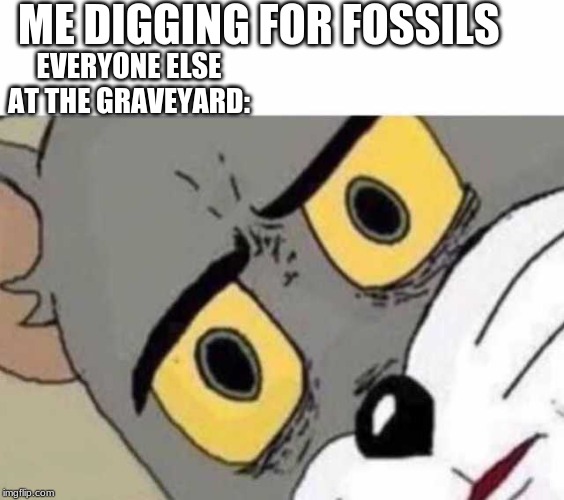 Tom Cat Unsettled Close up | ME DIGGING FOR FOSSILS; EVERYONE ELSE AT THE GRAVEYARD: | image tagged in tom cat unsettled close up | made w/ Imgflip meme maker