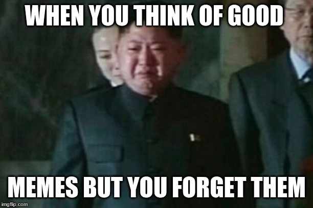 Kim Jong Un Sad Meme | WHEN YOU THINK OF GOOD; MEMES BUT YOU FORGET THEM | image tagged in memes,kim jong un sad | made w/ Imgflip meme maker