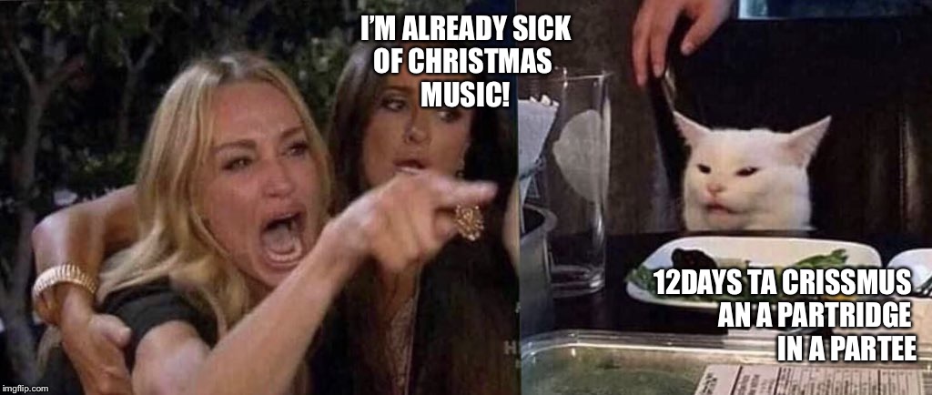 woman yelling at cat | I’M ALREADY SICK
OF CHRISTMAS 
MUSIC! 12DAYS TA CRISSMUS 
AN A PARTRIDGE 
IN A PARTEE | image tagged in woman yelling at cat | made w/ Imgflip meme maker