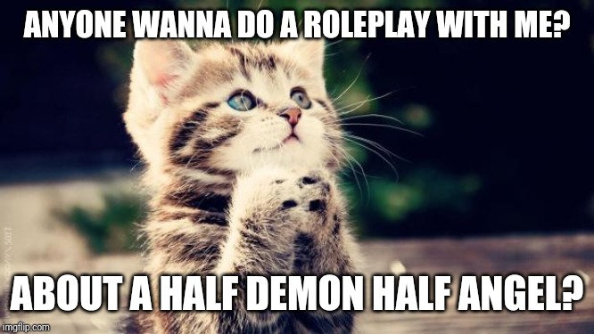 Praying cat | ANYONE WANNA DO A ROLEPLAY WITH ME? ABOUT A HALF DEMON HALF ANGEL? | image tagged in praying cat | made w/ Imgflip meme maker