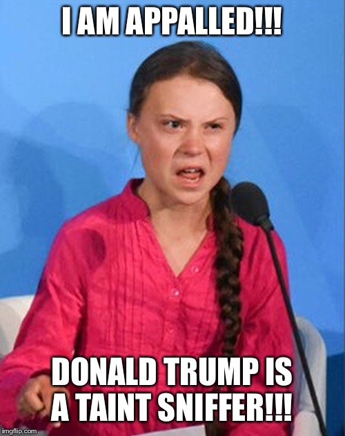 Greta’s uplifting realization | I AM APPALLED!!! DONALD TRUMP IS A TAINT SNIFFER!!! | image tagged in greta thunberg how dare you | made w/ Imgflip meme maker