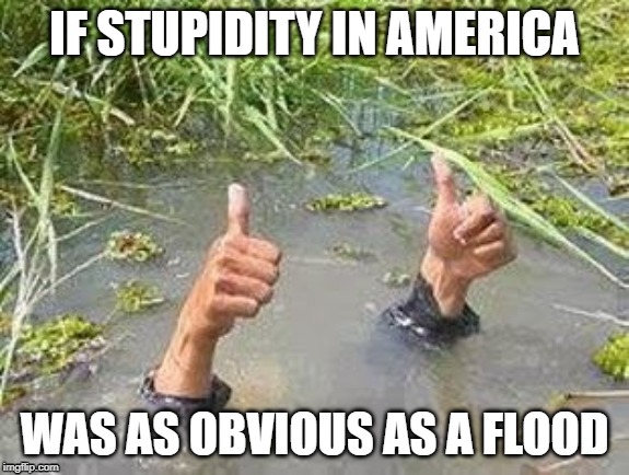 FLOODING THUMBS UP | IF STUPIDITY IN AMERICA; WAS AS OBVIOUS AS A FLOOD | image tagged in flooding thumbs up | made w/ Imgflip meme maker
