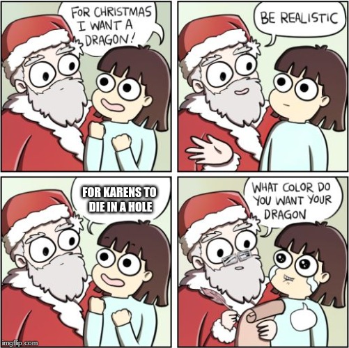 For Christmas I Want a Dragon | FOR KARENS TO 
DIE IN A HOLE | image tagged in for christmas i want a dragon | made w/ Imgflip meme maker