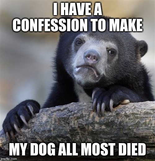 Confession Bear | I HAVE A CONFESSION TO MAKE; MY DOG ALL MOST DIED | image tagged in memes,confession bear | made w/ Imgflip meme maker