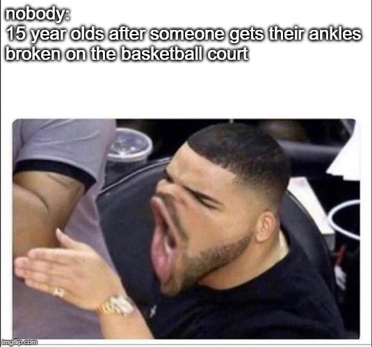 Drake screaming | nobody:
15 year olds after someone gets their ankles broken on the basketball court | image tagged in drake screaming | made w/ Imgflip meme maker