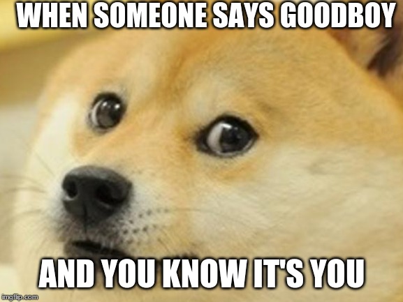 WHEN SOMEONE SAYS GOODBOY; AND YOU KNOW IT'S YOU | image tagged in doge,dogo | made w/ Imgflip meme maker