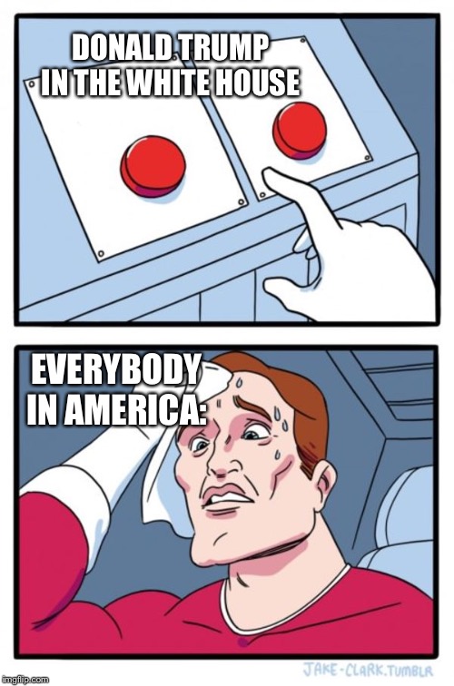 Two Buttons Meme | DONALD TRUMP IN THE WHITE HOUSE; EVERYBODY IN AMERICA: | image tagged in memes,two buttons | made w/ Imgflip meme maker