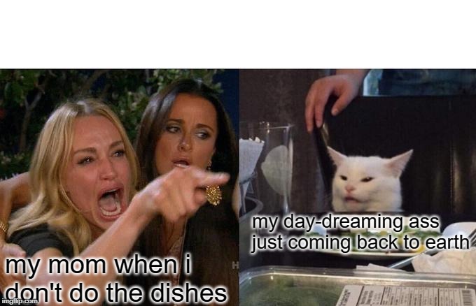 Woman Yelling At Cat Meme | my day-dreaming ass just coming back to earth; my mom when i don't do the dishes | image tagged in memes,woman yelling at cat | made w/ Imgflip meme maker