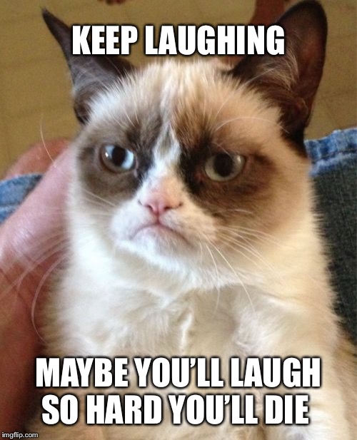 Grumpy Cat Meme | KEEP LAUGHING; MAYBE YOU’LL LAUGH SO HARD YOU’LL DIE | image tagged in memes,grumpy cat | made w/ Imgflip meme maker