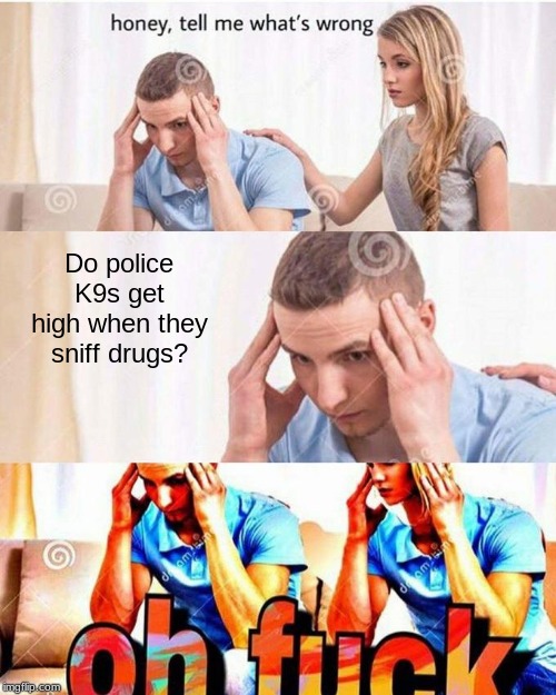 Will we ever know | Do police K9s get high when they sniff drugs? | image tagged in honey tell me what's wrong | made w/ Imgflip meme maker