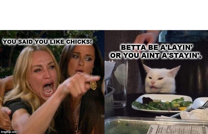 Woman Yelling At Cat | YOU SAID YOU LIKE CHICKS! BETTA BE A'LAYIN' OR YOU AINT A'STAYIN'. | image tagged in memes,woman yelling at cat | made w/ Imgflip meme maker