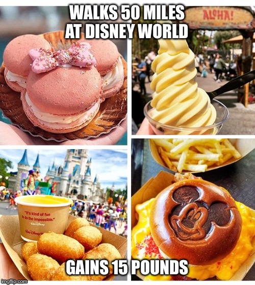 Disney World | WALKS 50 MILES AT DISNEY WORLD; GAINS 15 POUNDS | image tagged in disney | made w/ Imgflip meme maker