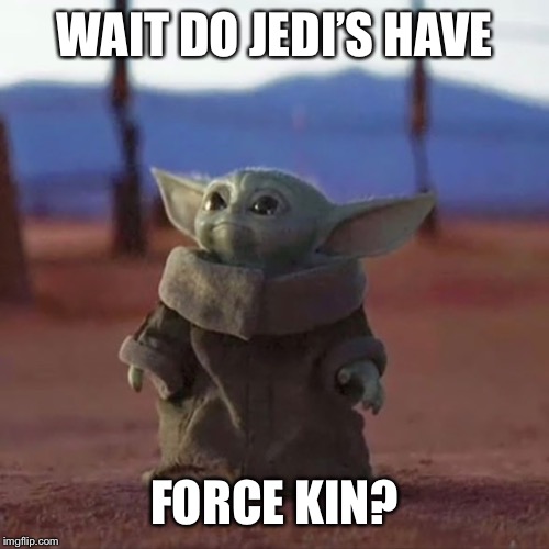 Baby Yoda | WAIT DO JEDI’S HAVE; FORCE KIN? | image tagged in baby yoda | made w/ Imgflip meme maker