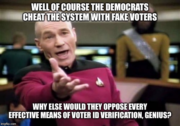 Picard Wtf Meme |  WELL OF COURSE THE DEMOCRATS CHEAT THE SYSTEM WITH FAKE VOTERS; WHY ELSE WOULD THEY OPPOSE EVERY EFFECTIVE MEANS OF VOTER ID VERIFICATION, GENIUS? | image tagged in memes,picard wtf | made w/ Imgflip meme maker