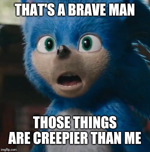 Sonic Movie | THAT'S A BRAVE MAN THOSE THINGS ARE CREEPIER THAN ME | image tagged in sonic movie | made w/ Imgflip meme maker