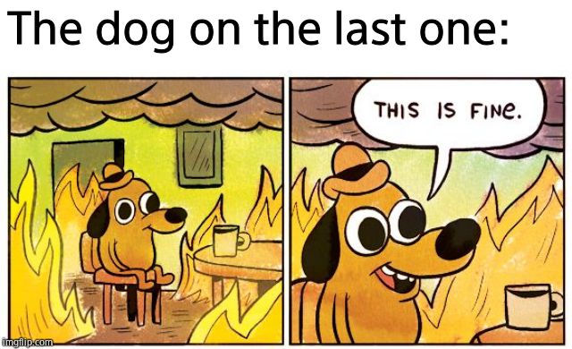 This Is Fine Meme | The dog on the last one: | image tagged in this is fine dog | made w/ Imgflip meme maker