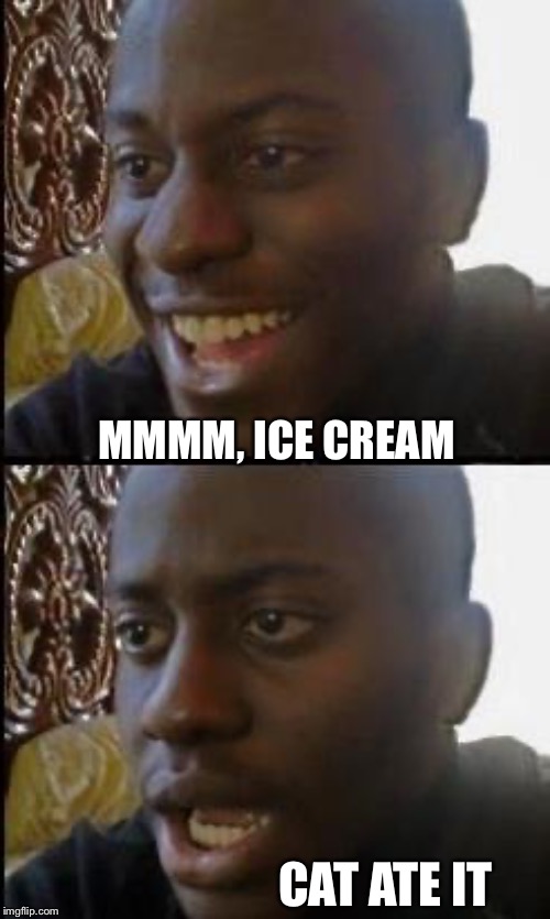 Disappointed Black Guy | MMMM, ICE CREAM CAT ATE IT | image tagged in disappointed black guy | made w/ Imgflip meme maker