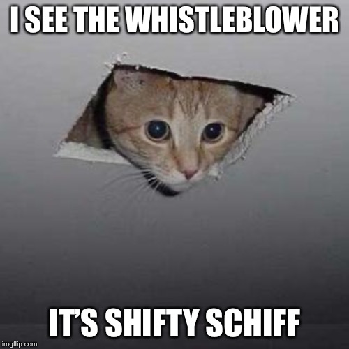 Ceiling Cat Meme | I SEE THE WHISTLEBLOWER; IT’S SHIFTY SCHIFF | image tagged in memes,ceiling cat | made w/ Imgflip meme maker