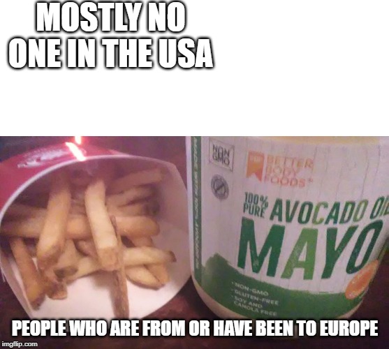 Make Fries Great Again | MOSTLY NO ONE IN THE USA; PEOPLE WHO ARE FROM OR HAVE BEEN TO EUROPE | image tagged in french fries,mayonnaise,usa vs europe,eating,food memes,weird | made w/ Imgflip meme maker