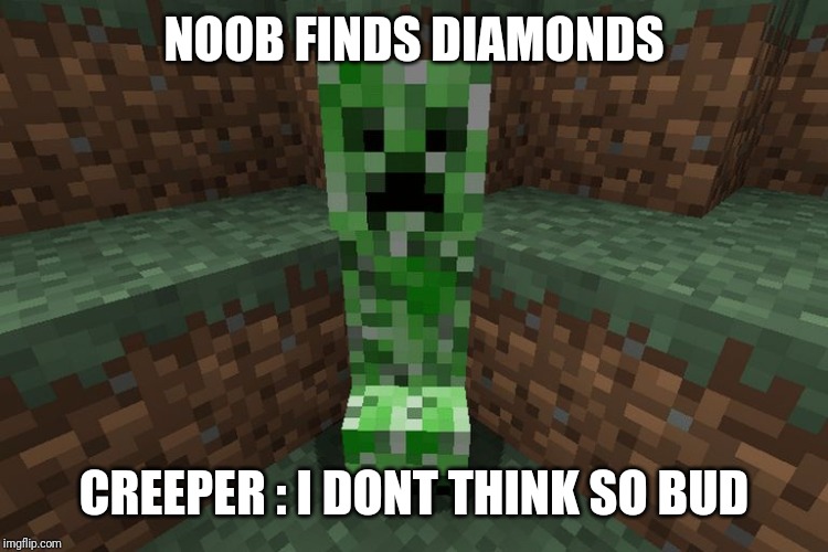creeper aww man | NOOB FINDS DIAMONDS; CREEPER : I DONT THINK SO BUD | image tagged in creeper aww man | made w/ Imgflip meme maker