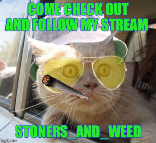 Fear And Loathing Cat Meme | COME CHECK OUT AND FOLLOW MY STREAM; STONERS_AND_WEED | image tagged in memes,fear and loathing cat | made w/ Imgflip meme maker