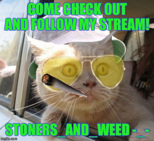 Fear And Loathing Cat | COME CHECK OUT AND FOLLOW MY STREAM! STONERS_AND_WEED -_- | image tagged in memes,fear and loathing cat | made w/ Imgflip meme maker