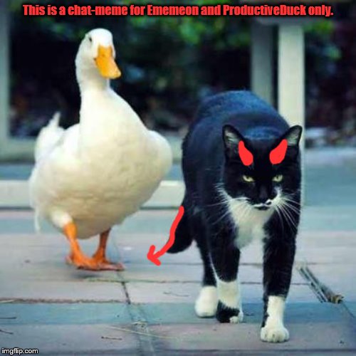 Chat-meme for only me and ProductiveDuck only, thank you. | This is a chat-meme for Ememeon and ProductiveDuck only. | image tagged in me and the boys | made w/ Imgflip meme maker