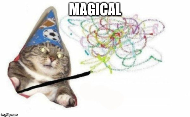 Woosh cat | MAGICAL | image tagged in woosh cat | made w/ Imgflip meme maker