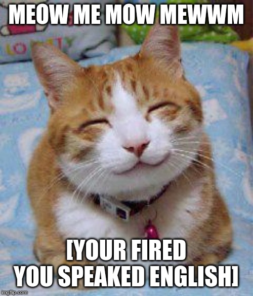 I love you the Meowst | MEOW ME MOW MEWWM [YOUR FIRED YOU SPEAKED ENGLISH] | image tagged in i love you the meowst | made w/ Imgflip meme maker