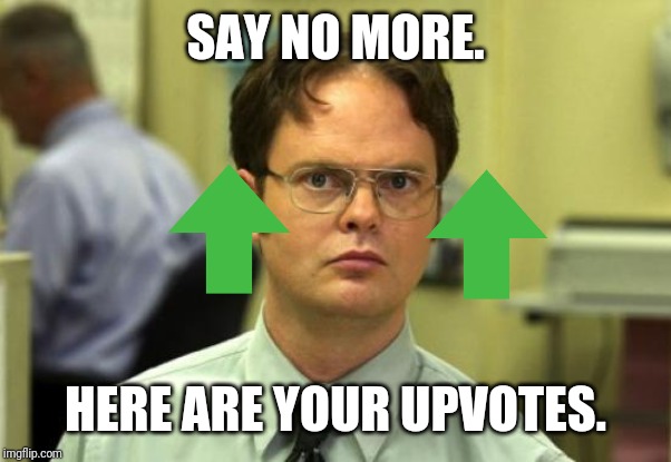 Dwight Schrute Meme | SAY NO MORE. HERE ARE YOUR UPVOTES. | image tagged in memes,dwight schrute | made w/ Imgflip meme maker