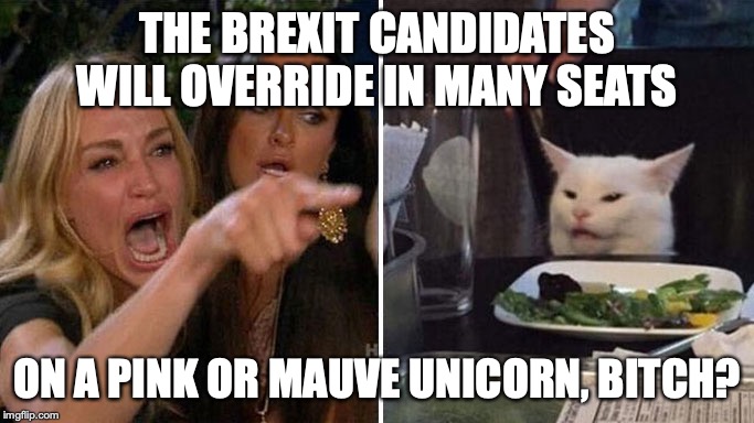 Angry lady cat | THE BREXIT CANDIDATES WILL OVERRIDE IN MANY SEATS; ON A PINK OR MAUVE UNICORN, BITCH? | image tagged in angry lady cat | made w/ Imgflip meme maker