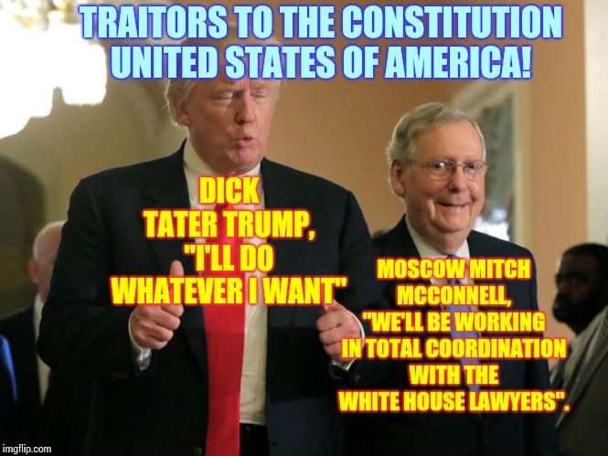 Dicks | TRAITORS TO THE CONSTITUTION UNITED STATES OF AMERICA! MOSCOW MITCH MCCONNELL, "WE'LL BE WORKING IN TOTAL COORDINATION WITH THE WHITE HOUSE LAWYERS". DICK TATER TRUMP, "I'LL DO WHATEVER I WANT" | image tagged in trump mcconnell,memes,traitors,impeach trump,liar in chief,lock him up | made w/ Imgflip meme maker