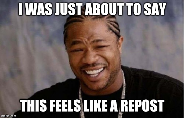 Yo Dawg Heard You Meme | I WAS JUST ABOUT TO SAY THIS FEELS LIKE A REPOST | image tagged in memes,yo dawg heard you | made w/ Imgflip meme maker