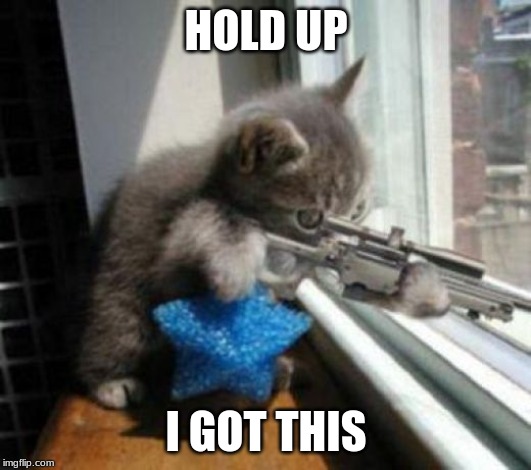 Cats with Guns | HOLD UP I GOT THIS | image tagged in cats with guns | made w/ Imgflip meme maker