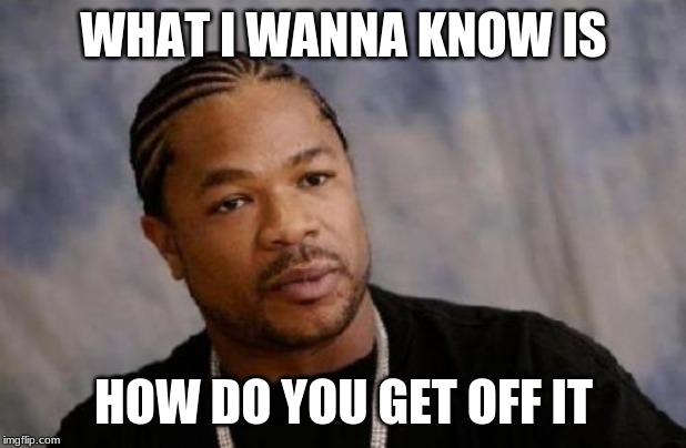 Serious Xzibit Meme | WHAT I WANNA KNOW IS HOW DO YOU GET OFF IT | image tagged in memes,serious xzibit | made w/ Imgflip meme maker