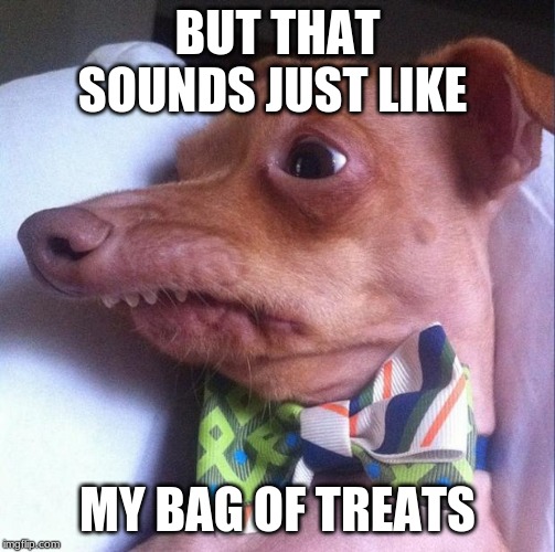 Tuna the dog (Phteven) | BUT THAT SOUNDS JUST LIKE MY BAG OF TREATS | image tagged in tuna the dog phteven | made w/ Imgflip meme maker