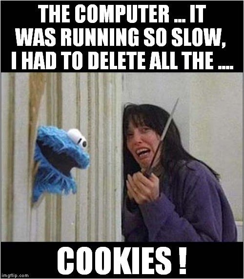 Computer Cookies | THE COMPUTER ... IT WAS RUNNING SO SLOW,  I HAD TO DELETE ALL THE .... COOKIES ! | image tagged in fun,computers,cookie monster | made w/ Imgflip meme maker