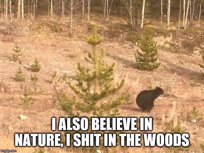 Bears shit in woods | I ALSO BELIEVE IN NATURE, I SHIT IN THE WOODS | image tagged in bears shit in woods | made w/ Imgflip meme maker