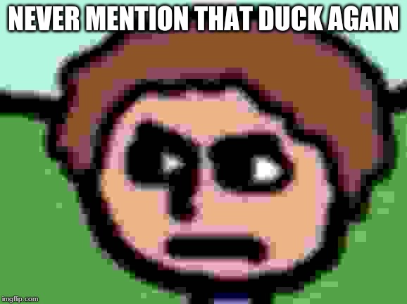 Annoyed | NEVER MENTION THAT DUCK AGAIN | image tagged in annoyed | made w/ Imgflip meme maker