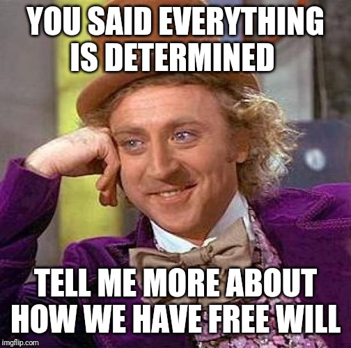 Creepy Condescending Wonka | YOU SAID EVERYTHING IS DETERMINED; TELL ME MORE ABOUT HOW WE HAVE FREE WILL | image tagged in memes,creepy condescending wonka,free will,philosophy | made w/ Imgflip meme maker