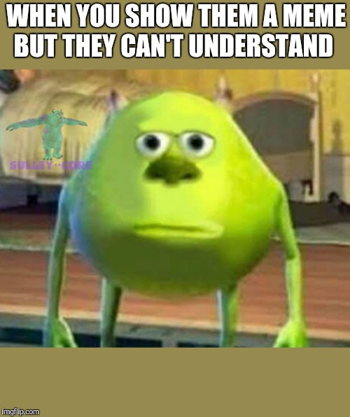 Monsters Inc | WHEN YOU SHOW THEM A MEME BUT THEY CAN'T UNDERSTAND | image tagged in monsters inc | made w/ Imgflip meme maker