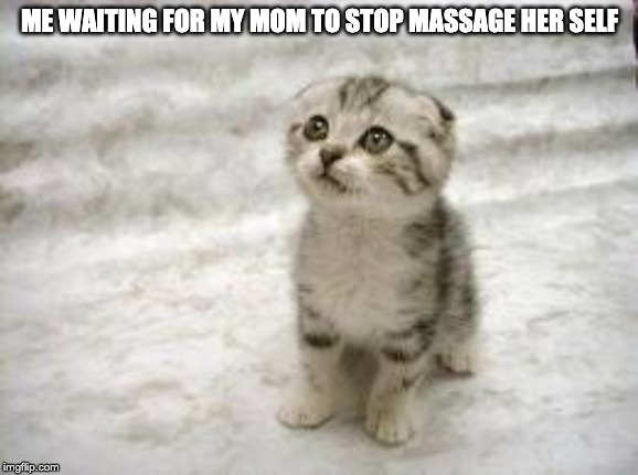 Sad Cat Meme | ME WAITING FOR MY MOM TO STOP MASSAGE HER SELF | image tagged in memes,sad cat | made w/ Imgflip meme maker