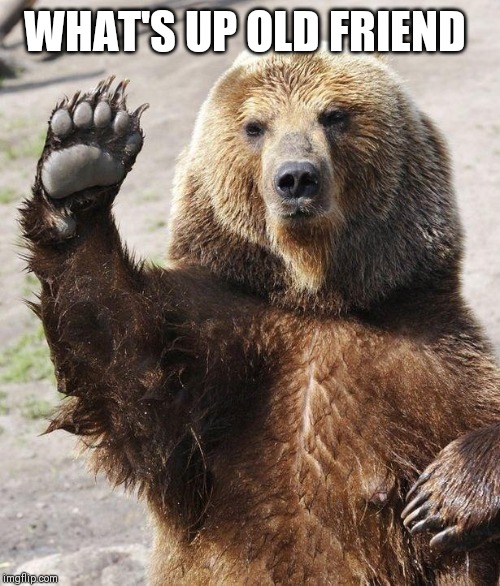 Hello bear | WHAT'S UP OLD FRIEND | image tagged in hello bear | made w/ Imgflip meme maker