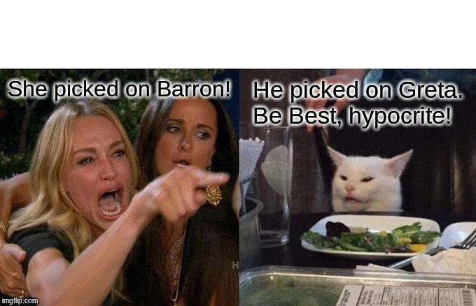 Woman Yelling At Cat | She picked on Barron! He picked on Greta. Be Best, hypocrite! | image tagged in memes,woman yelling at cat | made w/ Imgflip meme maker