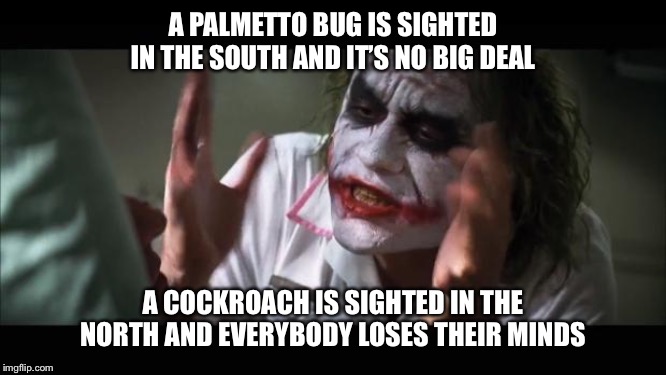 And everybody loses their minds | A PALMETTO BUG IS SIGHTED IN THE SOUTH AND IT’S NO BIG DEAL; A COCKROACH IS SIGHTED IN THE NORTH AND EVERYBODY LOSES THEIR MINDS | image tagged in memes,and everybody loses their minds | made w/ Imgflip meme maker