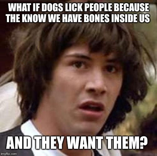 Good luck not being scared of your pupper now. (Evil laugh) | WHAT IF DOGS LICK PEOPLE BECAUSE THE KNOW WE HAVE BONES INSIDE US; AND THEY WANT THEM? | image tagged in memes,conspiracy keanu | made w/ Imgflip meme maker